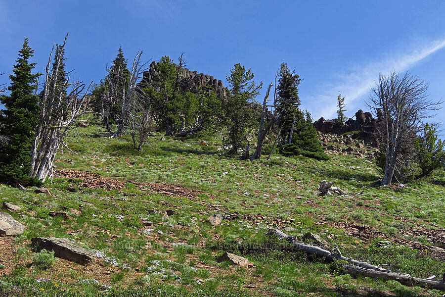 summit of Ironstone Mountain [Ironstone Mountain, William O. Douglas Wilderness, Yakima County, Washington]