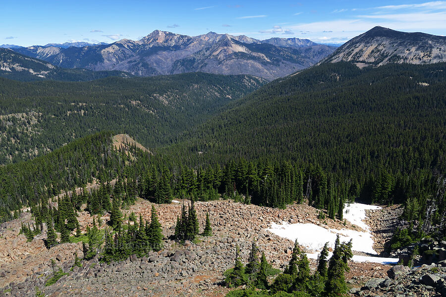 view to the north [Ironstone Mountain, William O. Douglas Wilderness, Yakima County, Washington]