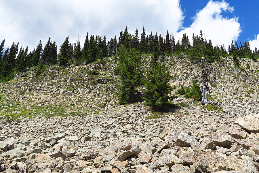 talus & a rocky ridge [Ironstone Mountain Trail, William O. Douglas Wilderness, Yakima County, Washington]