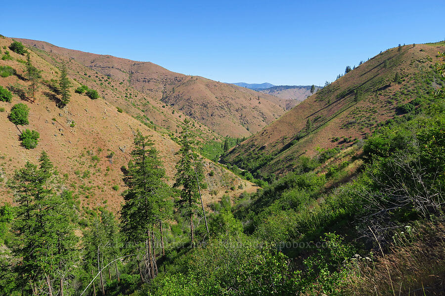 Mills Canyon [Mills Canyon, Okanogan-Wenatchee National Forest, Chelan County, Washington]