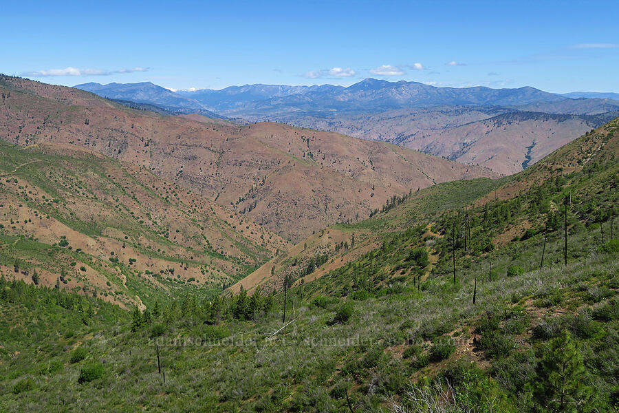 Mills Canyon & Chelan Mountains [Forest Road 5213, Okanogan-Wenatchee National Forest, Chelan County, Washington]