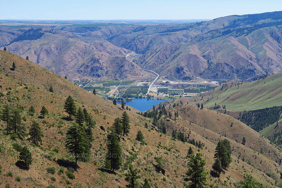 view to the east [Forest Road 5213-120, Okanogan-Wenatchee National Forest, Chelan County, Washington]