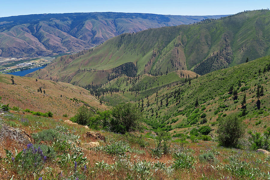 Spencer Canyon [Forest Road 5213-120, Okanogan-Wenatchee National Forest, Chelan County, Washington]