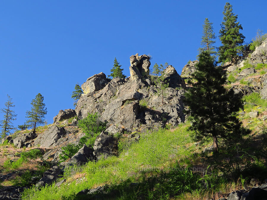 crags above the Mad River [Mad River Trail, Okanogan-Wenatchee National Forest, Chelan County, Washington]