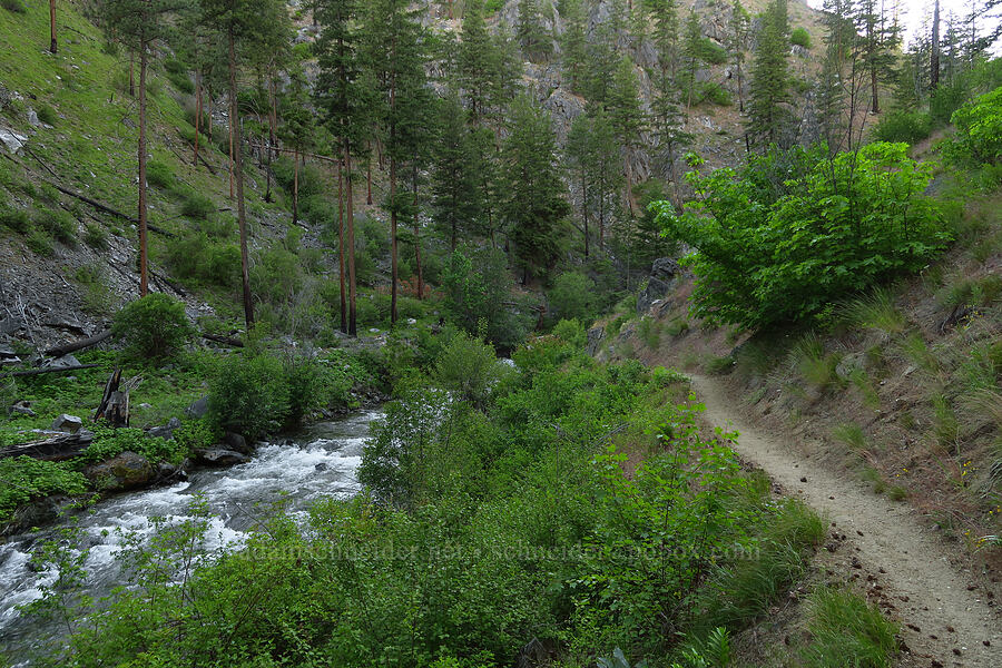 Mad River [Mad River Trail, Okanogan-Wenatchee National Forest, Chelan County, Washington]