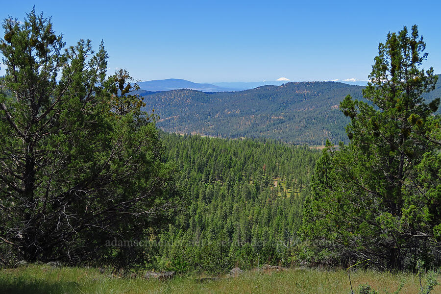 Ochoco Mountains [Stein's Pillar Trail, Ochoco National Forest, Crook County, Oregon]