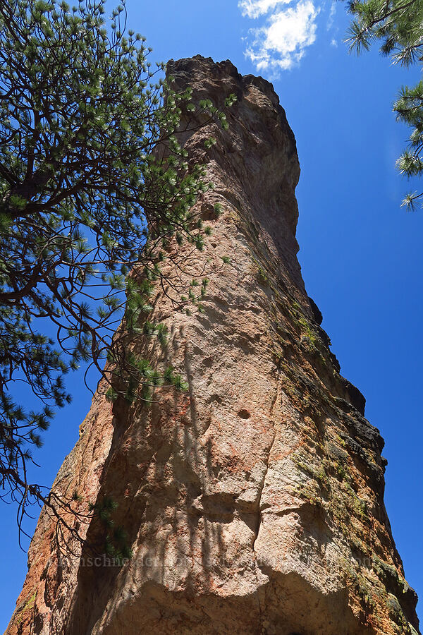 Stein's Pillar [Stein's Pillar Trail, Ochoco National Forest, Crook County, Oregon]