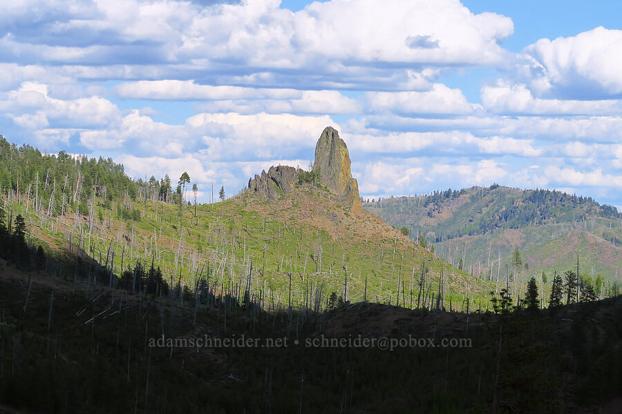 Twin Pillars [Forest Road 3320, Ochoco National Forest, Crook County, Oregon]