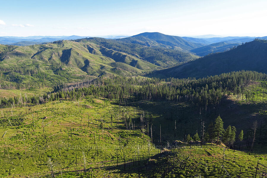 Mill Creek Wilderness [Whistler Point, Mill Creek Wilderness, Crook County, Oregon]