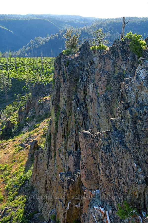 cliffs [Whistler Point, Mill Creek Wilderness, Crook County, Oregon]