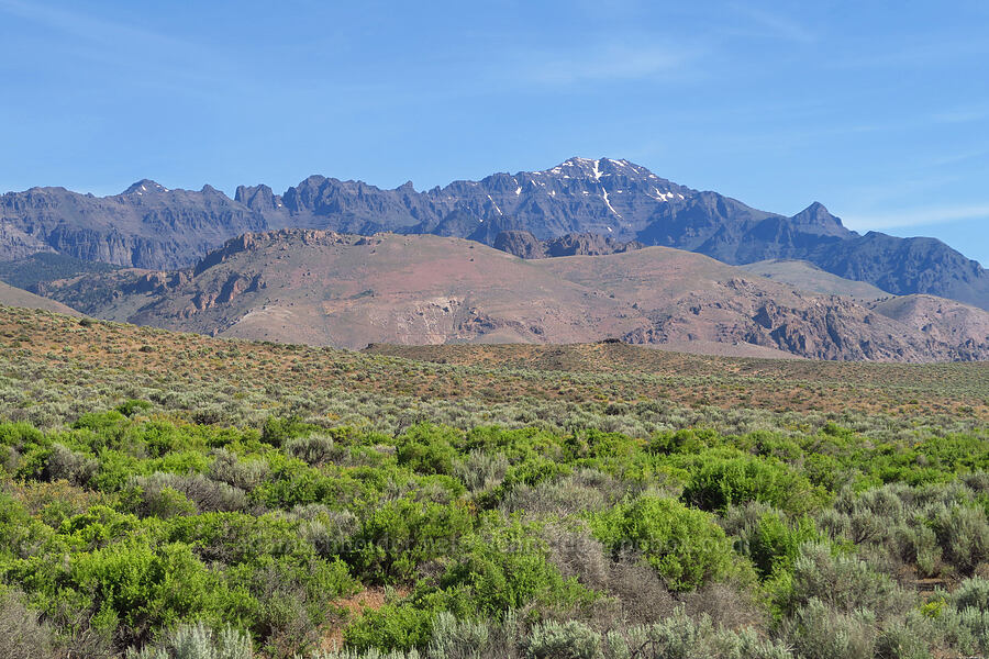 Steens Mountain [Fields-Folly Farm Road, Harney County, Oregon]