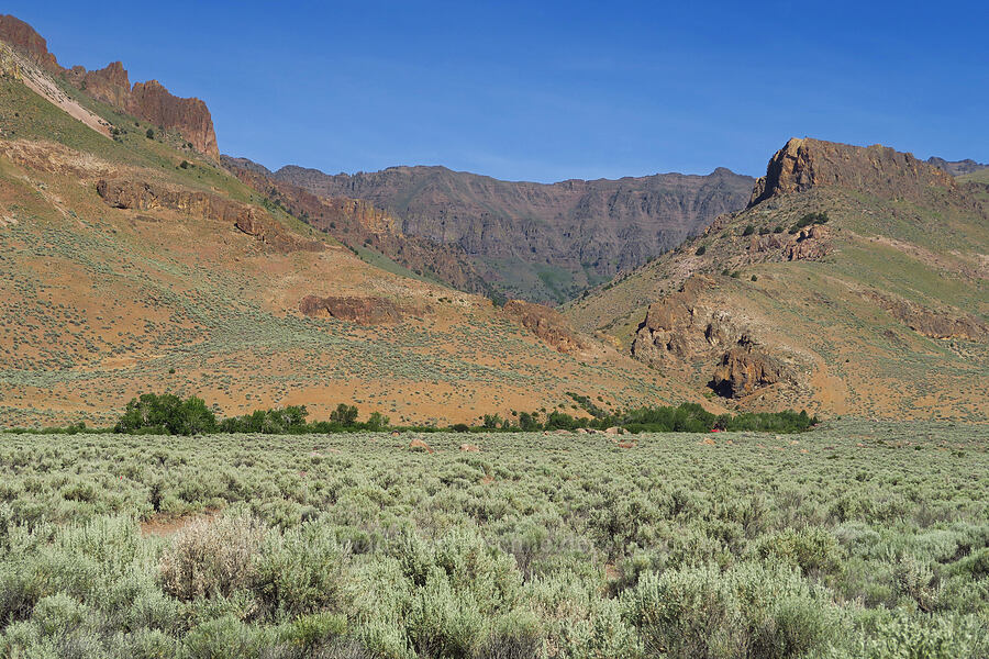 Pike Creek Canyon [Fields-Folly Farm Road, Harney County, Oregon]