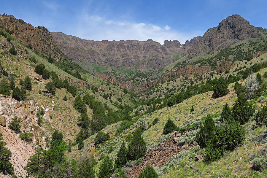 ridge east of Wildhorse Canyon [Pike Creek Trail, Steens Mountain Wilderness, Harney County, Oregon]