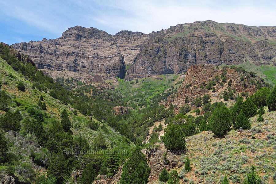 ridge east of Wildhorse Canyon [Pike Creek Trail, Steens Mountain Wilderness, Harney County, Oregon]