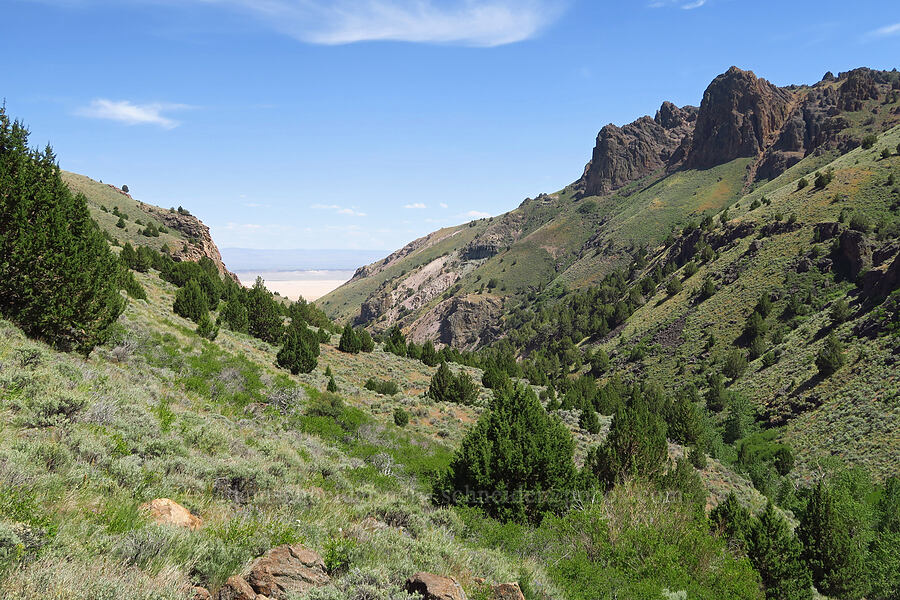 Pike Creek Canyon [Pike Creek Trail, Steens Mountain Wilderness, Harney County, Oregon]