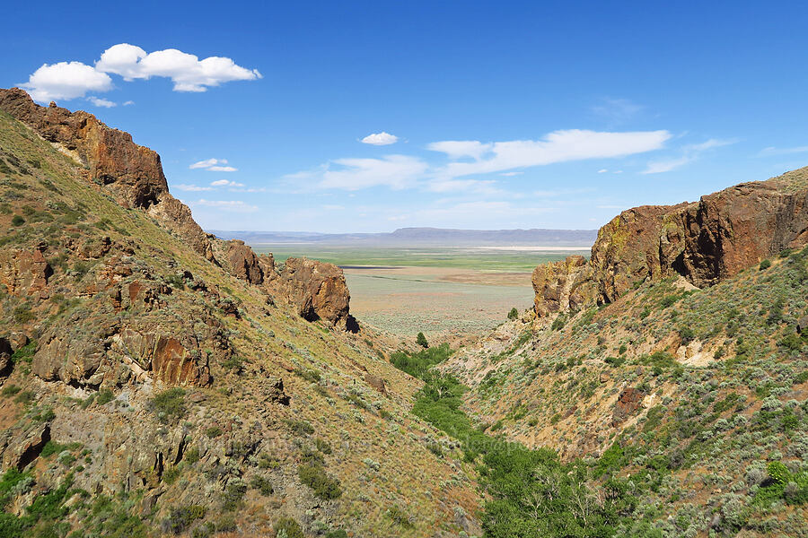 view to the northeast [Pike Creek Trail, Harney County, Oregon]