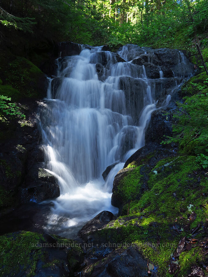 roadside waterfall [Lost Creek, Willamette National Forest, Linn County, Oregon]