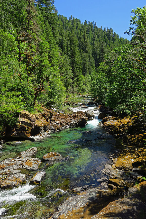 Quartzville Creek [Forest Road 11, Willamette National Forest, Linn County, Oregon]