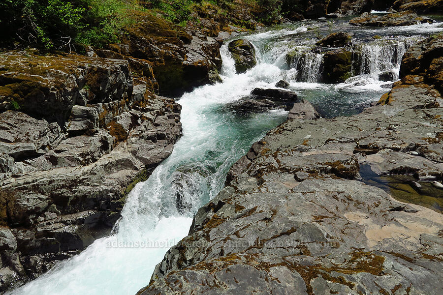 Quartzville Creek [Forest Road 11, Willamette National Forest, Linn County, Oregon]