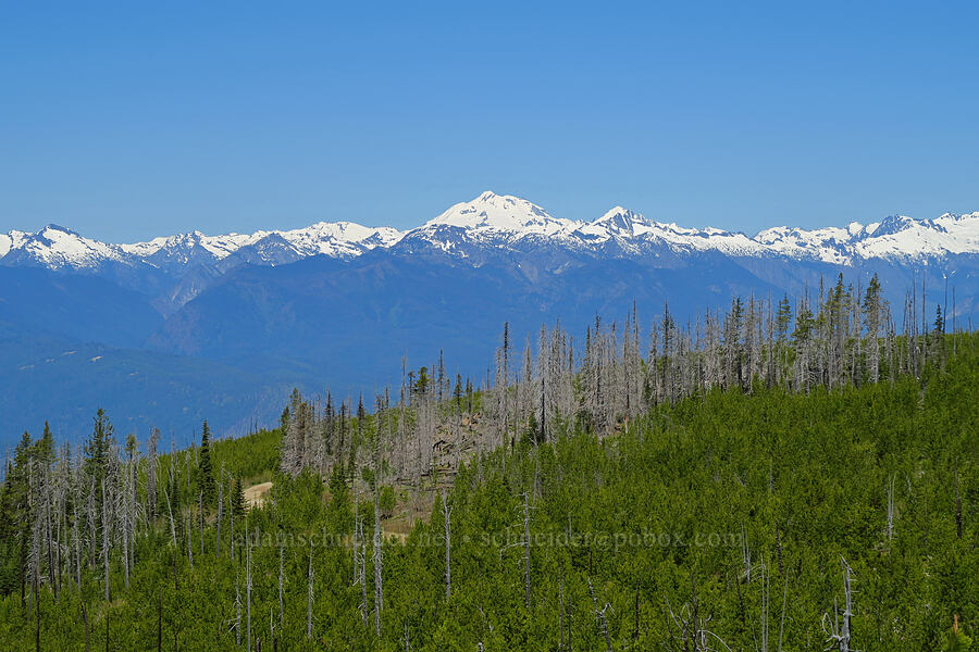 Glacier Peak & the Central Cascades [Sugarloaf Peak, Okanogan-Wenatchee National Forest, Chelan County, Washington]