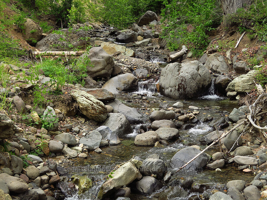 Thunder Creek [Forest Road 1306, Okanogan-Wenatchee National Forest, Yakima County, Washington]