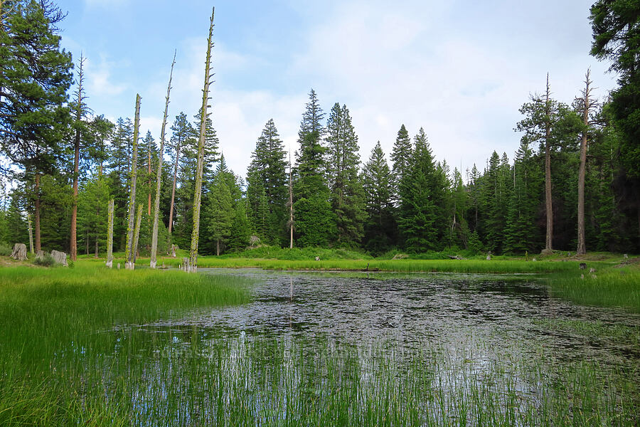 Thunder Lake [Thunder Lake, Okanogan-Wenatchee National Forest, Yakima County, Washington]