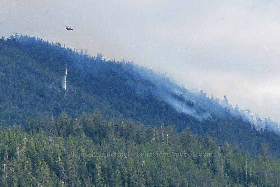 helicopter fighting the South Fork Fire [U.S. Highway 12, Okanogan-Wenatchee National Forest, Yakima County, Washington]