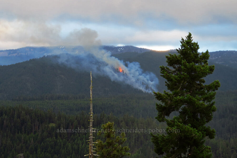 South Fork Fire [Forest Road 1382, Okanogan-Wenatchee National Forest, Yakima County, Washington]