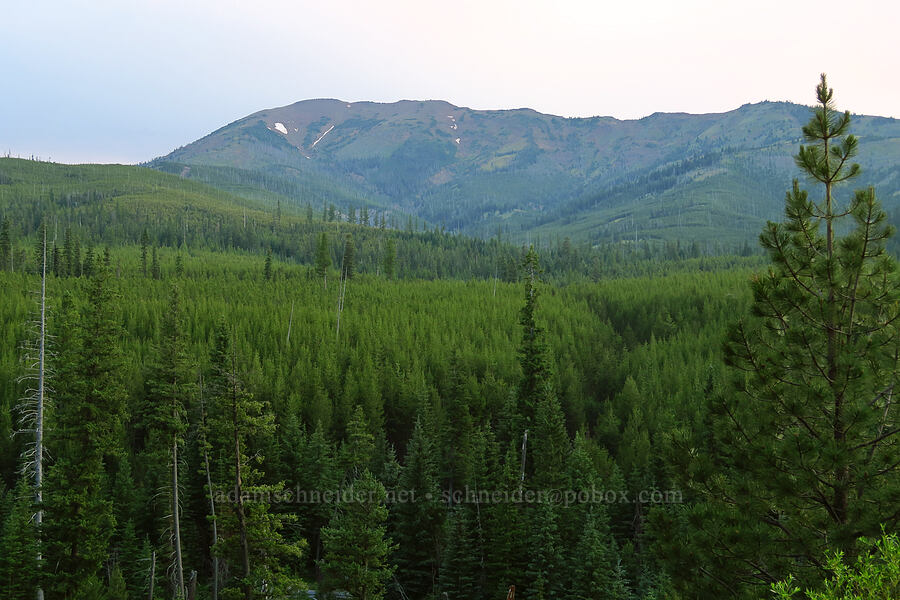 Redmont Peak [Forest Road 39, Wallowa-Whitman National Forest, Wallowa County, Oregon]