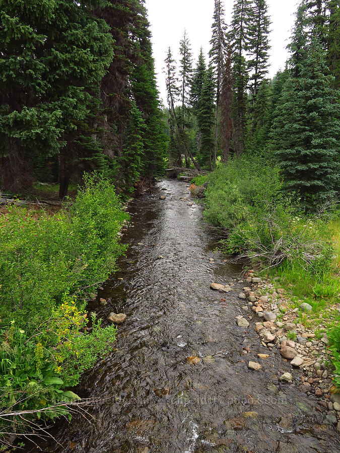 Lick Creek [Forest Road 39, Wallowa-Whitman National Forest, Wallowa County, Oregon]