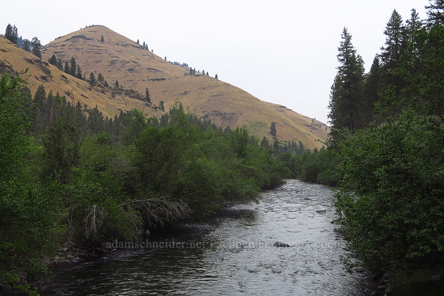 Imnaha River [Imnaha River Woods, Wallowa County, Oregon]