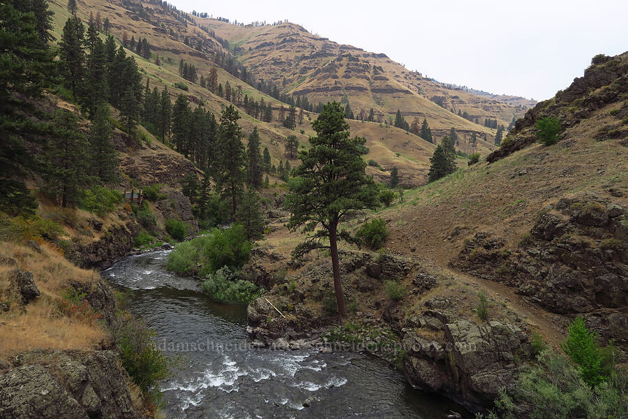 Imnaha River [Upper Imnaha Road, Wallowa-Whitman National Forest, Wallowa County, Oregon]