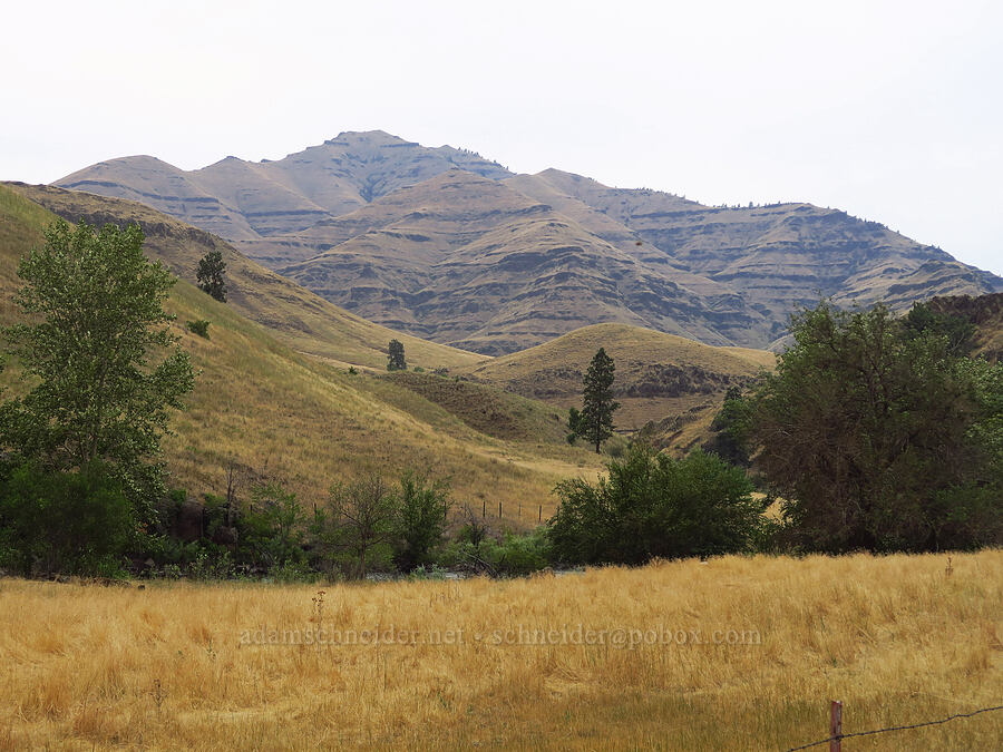 Hartshorn Butte [Upper Imnaha Road, Wallowa County, Oregon]