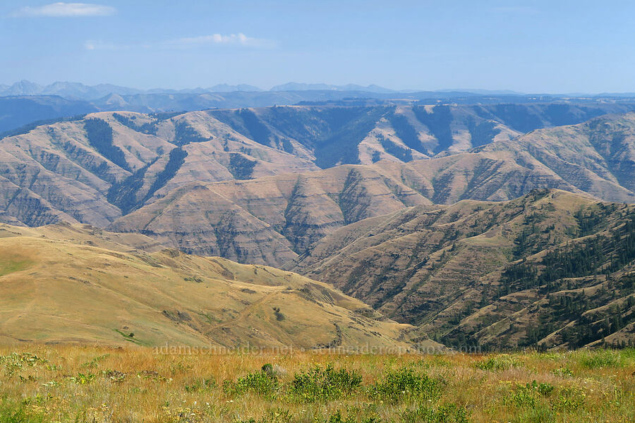 view toward Hells Canyon [Harsin Butte, Zumwalt Prairie Preserve, Wallowa County, Oregon]