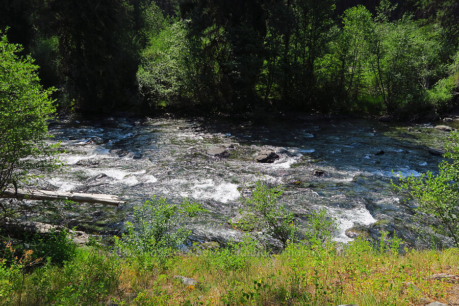 Imnaha River [Forest Road 3900-421, Wallowa-Whitman National Forest, Wallowa County, Oregon]