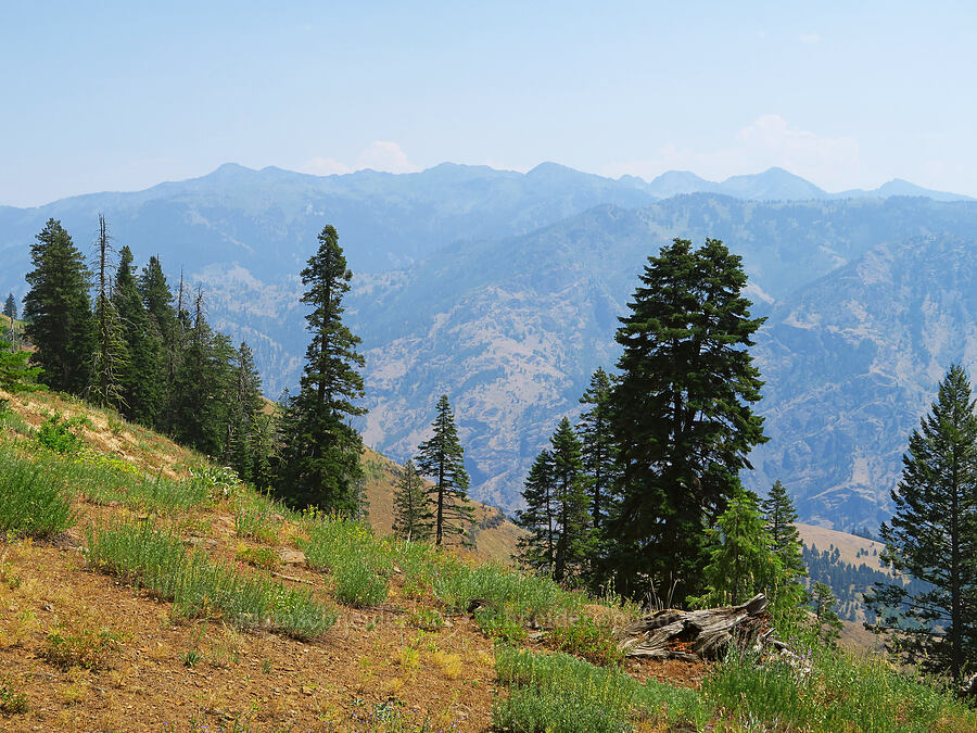 view toward Casey Mountain & Monument Peak [Forest Road 3965, Wallowa-Whitman National Forest, Wallowa County, Oregon]