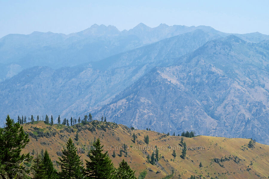 Seven Devils [Forest Road 3965, Wallowa-Whitman National Forest, Wallowa County, Oregon]