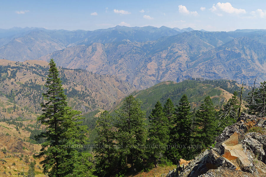 Hells Canyon [Buck Creek Trail, Wallowa-Whitman National Forest, Wallowa County, Oregon]