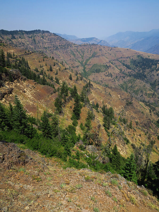 Hells Canyon [Buck Creek Trail, Wallowa-Whitman National Forest, Wallowa County, Oregon]