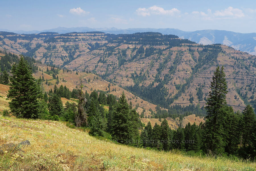 Hells Canyon [Forest Road 3965, Wallowa-Whitman National Forest, Wallowa County, Oregon]