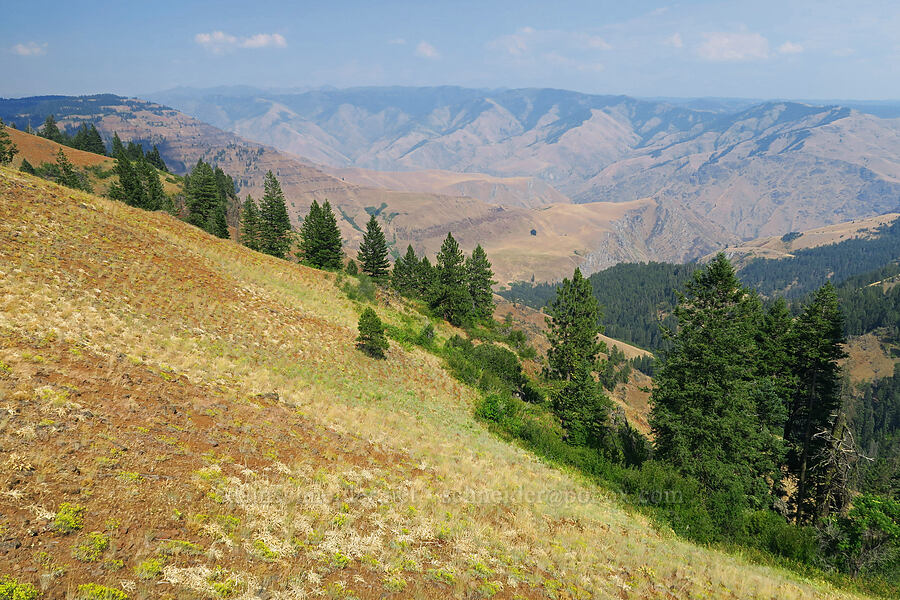 Hells Canyon [Forest Road 3965, Wallowa-Whitman National Forest, Wallowa County, Oregon]