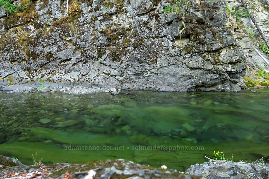 clear water [North Fork Teanaway River, Okanogan-Wenatchee National Forest, Kittitas County, Washington]