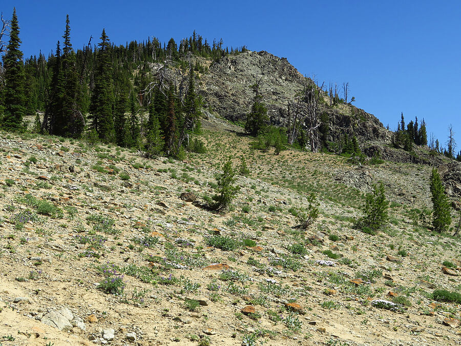 Small Fortune Peak [Esmeralda Basin Trail, Okanogan-Wenatchee National Forest, Kittitas County, Washington]