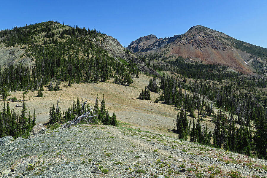 Small Fortune Peak & Fortune Peak [Fortune Creek Pass, Okanogan-Wenatchee National Forest, Kittitas County, Washington]