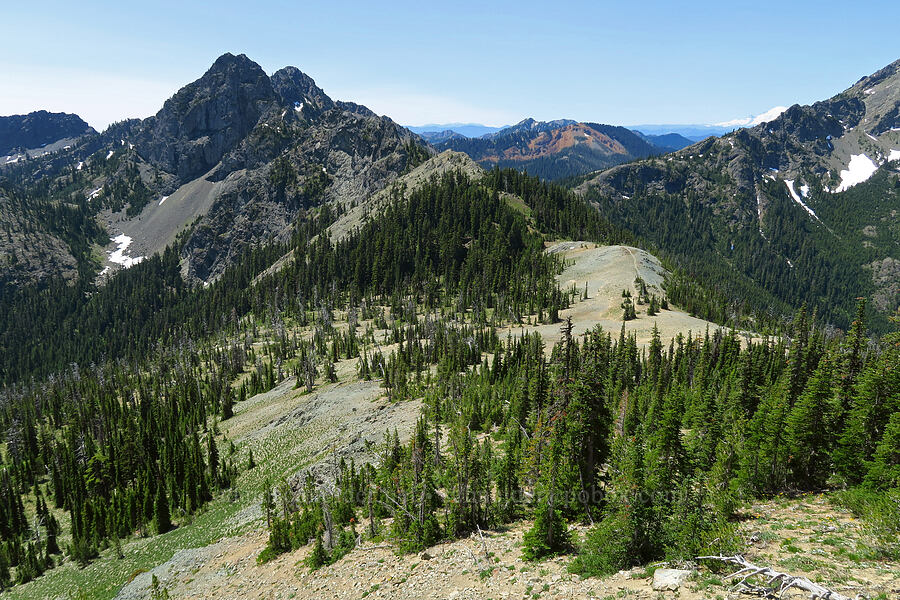 view to the south [Small Fortune Peak, Okanogan-Wenatchee National Forest, Kittitas County, Washington]