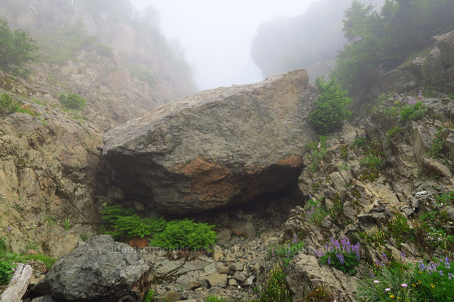 huge boulder [Mt. Ellinor winter route, Olympic National Forest, Mason County, Washington]