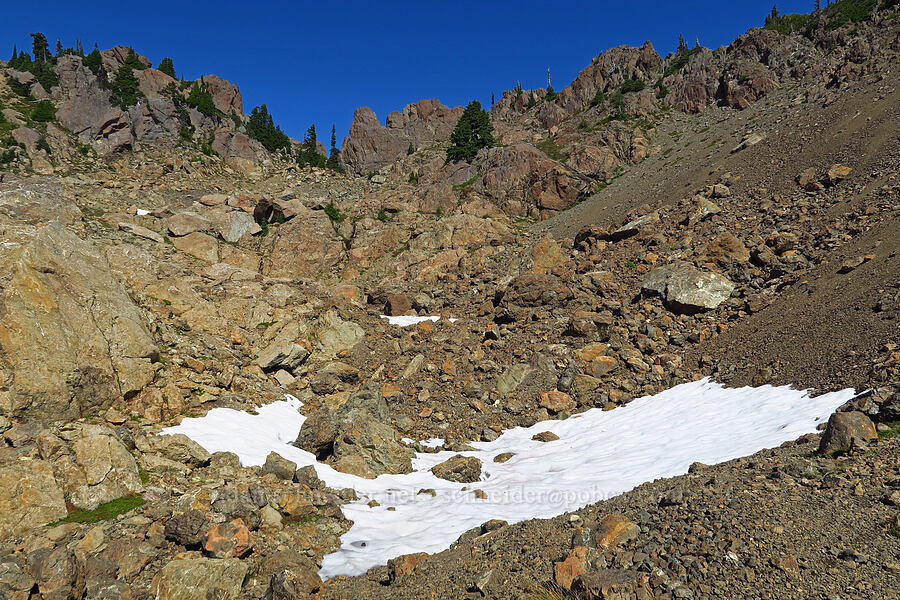 bowl full of snowfields [Mt. Ellinor winter route, Olympic National Forest, Mason County, Washington]