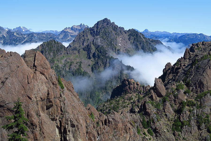 Mount Pershing [Mt. Ellinor's east ridge, Olympic National Forest, Mason County, Washington]