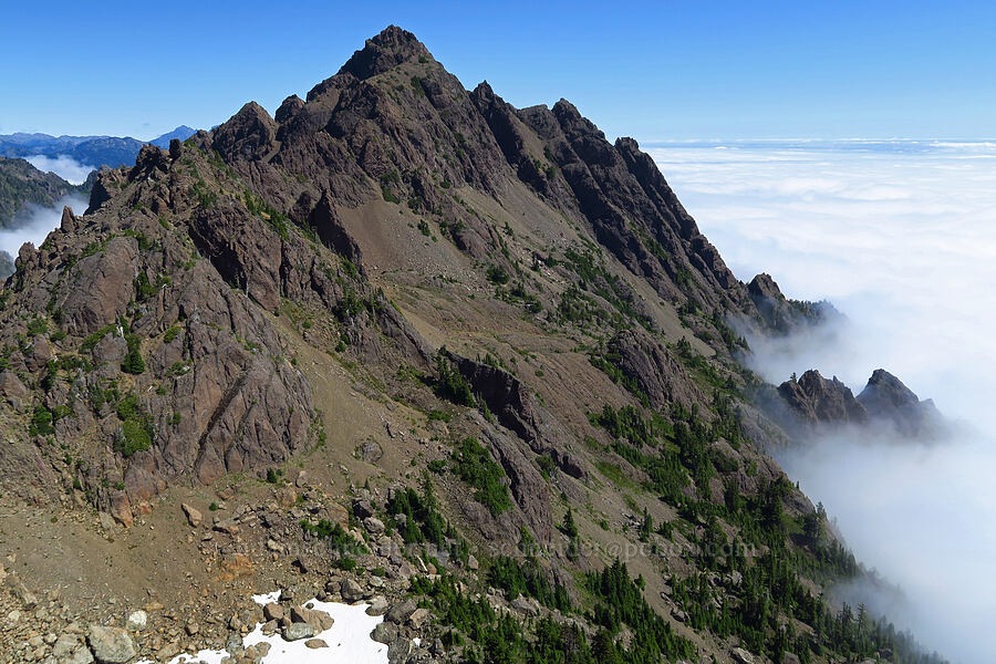 Mount Washington [Mt. Ellinor's east ridge, Olympic National Forest, Mason County, Washington]