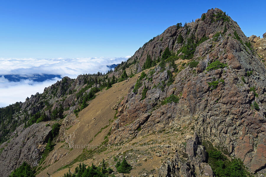 Point B [Mt. Ellinor's east ridge, Olympic National Forest, Mason County, Washington]